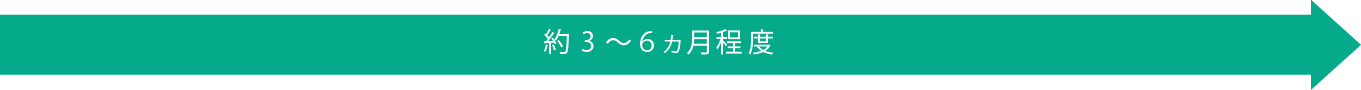 約3～6ヵ月程度