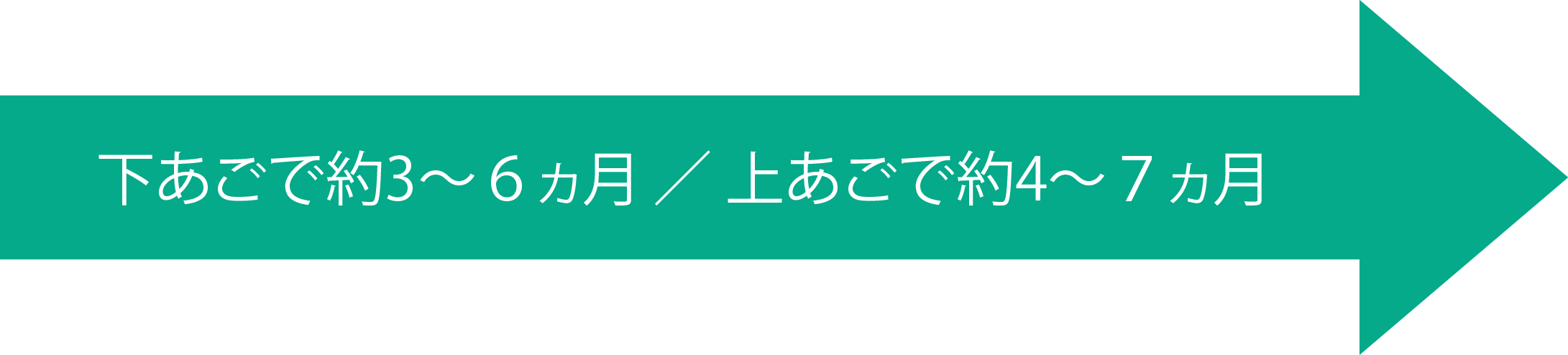 下あごで約6ヵ月/上あごで約12ヵ月